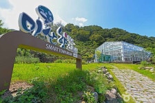 고로쇠마을(미산마을) 관광 정보와 주변 관광 명소 및 근처 맛집 여행 정보