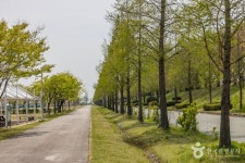 맥도생태공원 관광 정보와 주변 관광 명소 및 근처 맛집 여행 정보