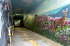 [평화누리길 4코스] 행주나루길 레저스포츠 정보와 주변 관광 명소 및 근처 맛집 여행 정보