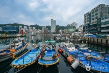 옥포항 관광 정보와 주변 관광 명소 및 근처 맛집 여행 정보