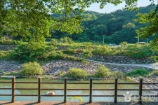 덕천서원(성주) - 주변 여행 및 근처 관광 명소 - 국내 여행 정보와 관광 명소 정보