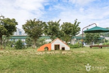 기흥레스피아호수공원 반려동물놀이터 관광 정보와 주변 관광 명소 및 근처 맛집 여행 정보