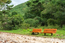 [대구올레 팔공산 2코스] 한실골 가는 길 레저스포츠 정보와 주변 관광 명소 및 근처 맛집 여행 정보