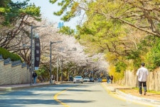 문탠로드 레저스포츠 정보와 주변 관광 명소 및 근처 맛집 여행 정보