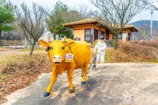 대흥슬로시티 관광 정보와 주변 관광 명소 및 근처 맛집 여행 정보