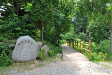 仲美山自然休養林（중미산자연휴양림） - 観光 - 韓国旅行・観光情報