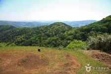 Seosan Palbongsan Mountain (팔봉산(서산)) - Sightseeing - Korea travel and tourism information