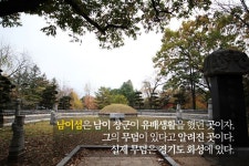 남이섬, 북한강 위에 떠 있는 상상공화국 - 콕콕! 지역정보 | 구석구석 떠나볼까 | 대한민국구석구석