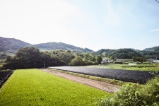 동서양의 문화를 모두 즐기는 여행 - 주변 여행 및 근처 관광 명소 - 국내 여행 정보와 관광 명소 정보