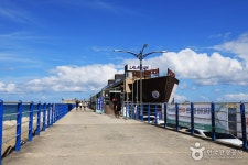 올리브펜션 - 주변 여행 및 근처 관광 명소 - 국내 여행 정보와 관광 명소 정보