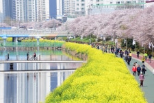 부산광역시립 연산도서관 - 주변 여행 및 근처 관광 명소 - 국내 여행 정보와 관광 명소 정보