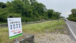 제주맛집칼국수 - 주변 여행 및 근처 관광 명소 - 국내 여행 정보와 관광 명소 정보