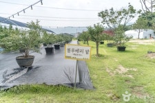 헤븐온어스 관광 정보와 주변 관광 명소 및 근처 맛집 여행 정보