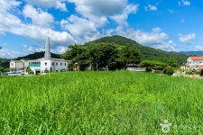 중산동 고분군 관광 정보와 주변 관광 명소 및 근처 맛집 여행 정보