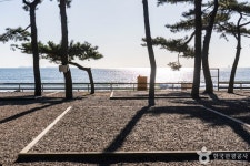 몽산포오토캠핑장 레저스포츠 정보와 주변 관광 명소 및 근처 맛집 여행 정보