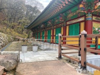 용연사(대구) 관광 정보와 주변 관광 명소 및 근처 맛집 여행 정보