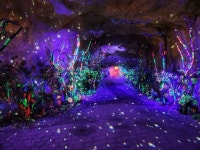 충주 활옥동굴 관광 정보와 주변 관광 명소 및 근처 맛집 여행 정보