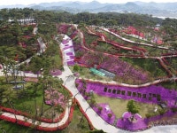 홍성솔바람테마파크 관광 정보와 주변 관광 명소 및 근처 맛집 여행 정보