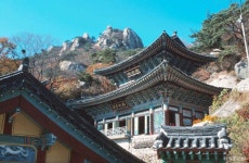 망월사(경기) 관광 정보와 주변 관광 명소 및 근처 맛집 여행 정보