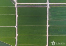 김제평야 관광 정보와 주변 관광 명소 및 근처 맛집 여행 정보