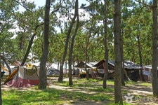 율포해수욕장(솔밭해변) 관광 정보와 주변 관광 명소 및 근처 맛집 여행 정보