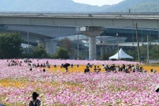 구리한강시민공원(코스모스공원) - 주변 여행 및 근처 관광 명소 - 국내 여행 정보와 관광 명소 정보