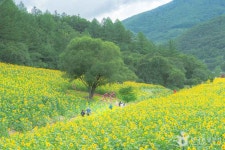 태백산 한옥펜션[한국관광 품질인증/Korea Quality] - 주변 여행 및 근처 관광 명소 - 국내 여행 정보와 관광 명소 정보