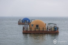 비토해양낚시공원 관광 정보와 주변 관광 명소 및 근처 맛집 여행 정보