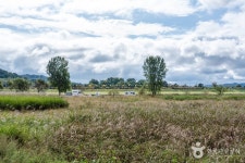 칠지공원 관광 정보와 주변 관광 명소 및 근처 맛집 여행 정보