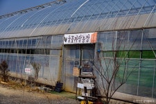 들꽃가람농장 관광 정보와 주변 관광 명소 및 근처 맛집 여행 정보