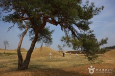 의성 금성산 고분군 - 주변 여행 및 근처 관광 명소 - 국내 여행 정보와 관광 명소 정보