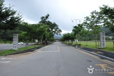 불갑사 관광지 관광 정보와 주변 관광 명소 및 근처 맛집 여행 정보