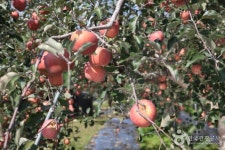 [대구올레 팔공산 4코스] 평광동 왕건길 - 관광지정보 | 어디로 갈까 | 대한민국구석구석