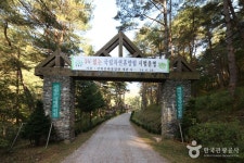 Geommasan National Recreational Forest (국립 검마산자연휴양림 ) - Sightseeing - Korea travel and tourism information