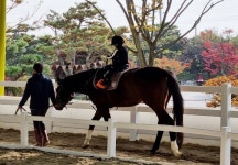 함라정원 음식점 정보와 주변 관광 명소 및 근처 맛집 여행 정보