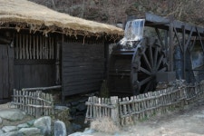 베리온리조트 - 주변 여행 및 근처 관광 명소 - 국내 여행 정보와 관광 명소 정보