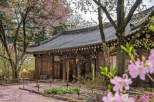 Accommodation - Korea travel and tourism information