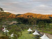 가든포레스트 음식점 정보와 주변 관광 명소 및 근처 맛집 여행 정보