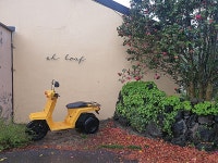 서귀포 알토산마을 - 주변 여행 및 근처 관광 명소 - 국내 여행 정보와 관광 명소 정보