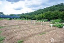 원두막주말농장 관광 정보와 주변 관광 명소 및 근처 맛집 여행 정보