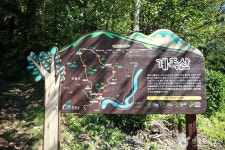 영월 정양산성(왕검성) 관광 정보와 주변 관광 명소 및 근처 맛집 여행 정보