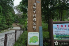 계양산 산림욕장 관광 정보와 주변 관광 명소 및 근처 맛집 여행 정보