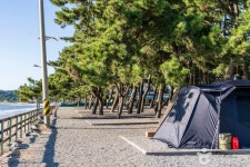 몽산포오토캠핑장 레저스포츠 정보와 주변 관광 명소 및 근처 맛집 여행 정보