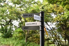 영광 법성진 숲쟁이 관광 정보와 주변 관광 명소 및 근처 맛집 여행 정보