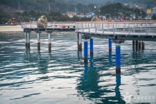 명사해수욕장 관광 정보와 주변 관광 명소 및 근처 맛집 여행 정보