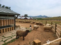 상하농원 관광 정보와 주변 관광 명소 및 근처 맛집 여행 정보