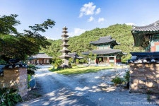 향우정 - 주변 여행 및 근처 관광 명소 - 국내 여행 정보와 관광 명소 정보