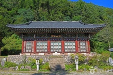 태백호텔 - 주변 여행 및 근처 관광 명소 - 국내 여행 정보와 관광 명소 정보