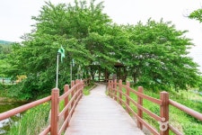 화동못수변공원 관광 정보와 주변 관광 명소 및 근처 맛집 여행 정보