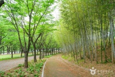 울산체육공원 관광 정보와 주변 관광 명소 및 근처 맛집 여행 정보